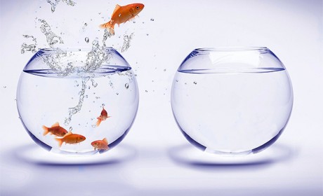 Fiskar kafna í menguðu vatni. Hreint loft er lífsnauðsyn fyrir okkur öll.