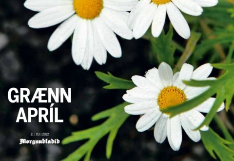 graennapril-serblad-mogga